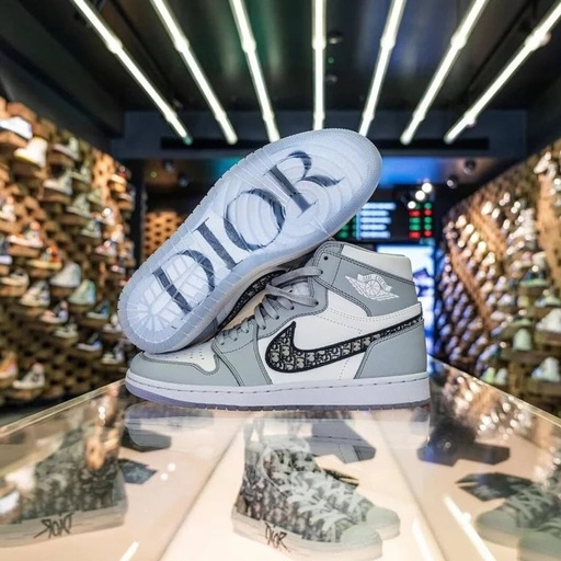 AIR JORDAN 1 DIOR SHOE