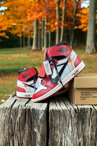 AIR JORDAN 1  RED SHOE